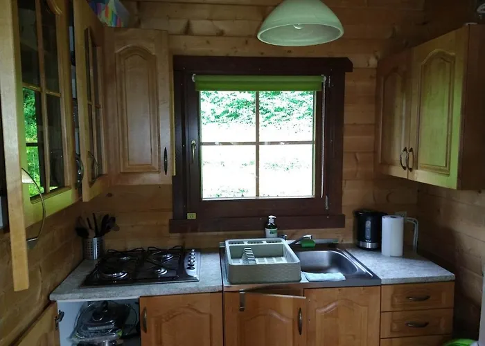 Nad Jeziorem Roznowskim -